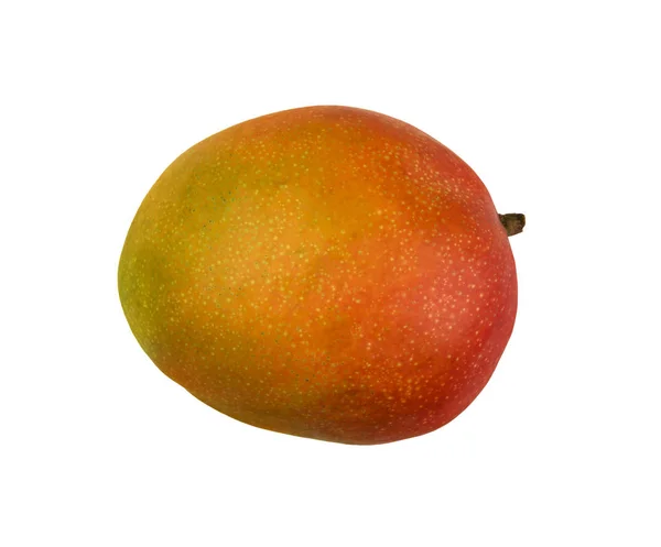 Stäng Upp Hel Fräsch Stor Mogen Röd Mango Frukt Isolerad — Stockfoto