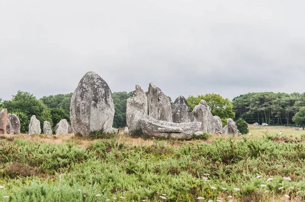 Menhir Velden Carnac Dnas Morbihan Bretagne Frankrijk — Stockfoto