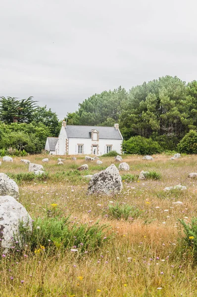 Fransa Brittany Morbihan Carnac Taki Menhir Tarlaları — Stok fotoğraf