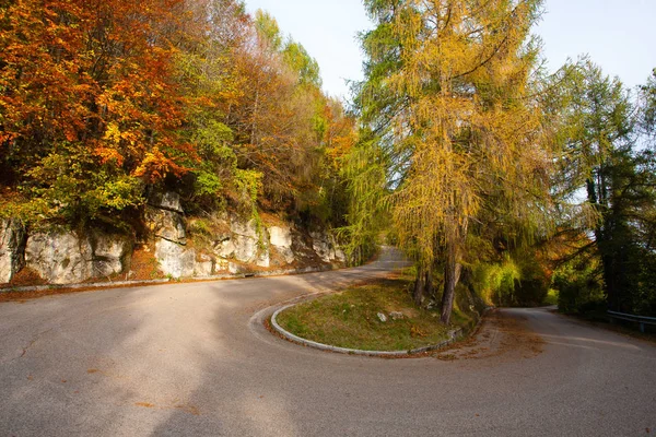 Hairpin Bend Autumn Landscape Tarmac Road Цветные Деревья — стоковое фото