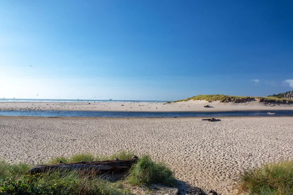 Sable Vue Sur Mer Dans Belle Plage Cannon Oregon — Photo