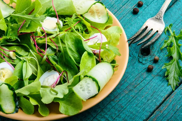 Färsk Grönsallad Med Mikrogreens Fräschhet Och Hälsosam Sallad — Stockfoto