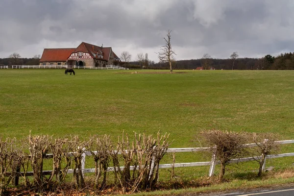 Altefeld Stud Gården Hessen — Stockfoto