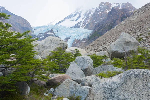 Piedras Blancas Buzulu Manzaralı Los Glaciares Ulusal Parkı Chalten Patagonya Stok Resim