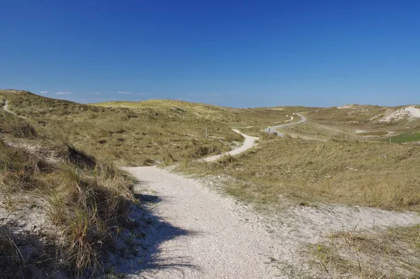 Nelle Dune Julianadorp Aan Zee District Den Helder Province Olanda — Foto Stock