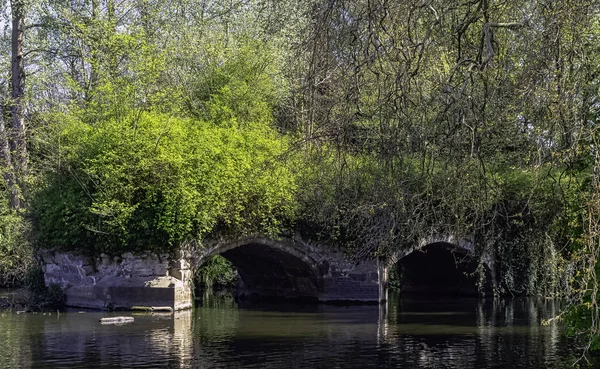 英国沃里克郡沃里克旧多拱石城堡桥的遗迹 — 图库照片