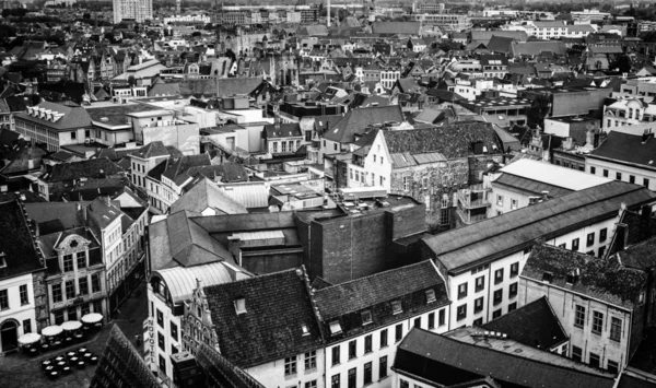 Gamla Holländska Hus Detalj Turismen Europa — Stockfoto