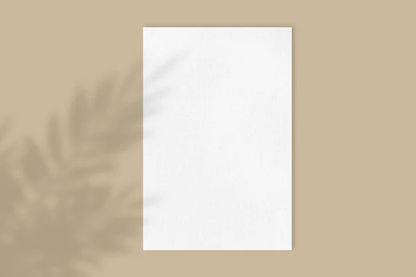 Порожній Білий Плакат Макет Світлому Пастельному Коричневому Тлі Тіні Квітки — стокове фото