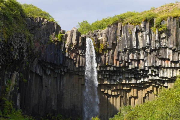 Svartifoss Esik Nyári Szezonban Kilátás Izland Izlandi Táj — Stock Fotó