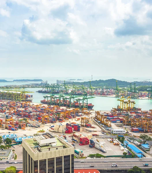 Légi Felvétel Szingapúri Teherfuvarozó Hajózási Port Transportational Konténerek Áruszállítás Daruk — Stock Fotó