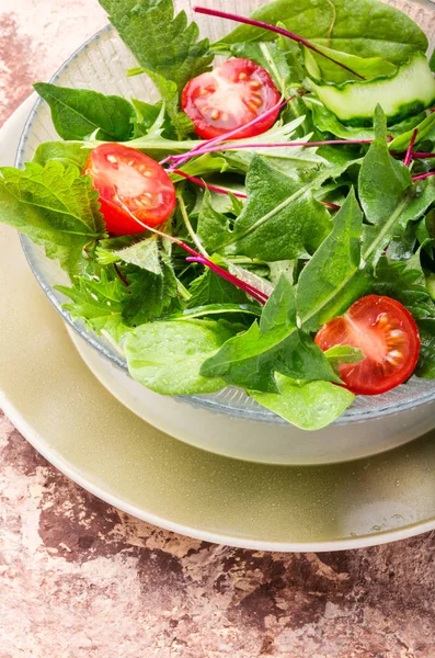 Taze Domatesli Sağlıklı Sebze Salatası Salatalık Bitki Marul Sağlıklı Yiyecek — Stok fotoğraf