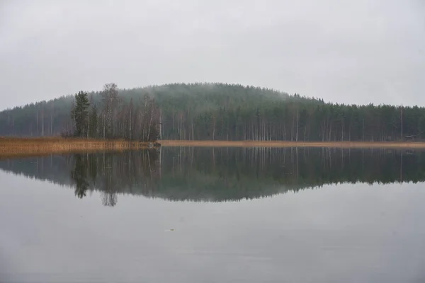 Mglisty Krajobraz Jesienny Brzegu — Zdjęcie stockowe
