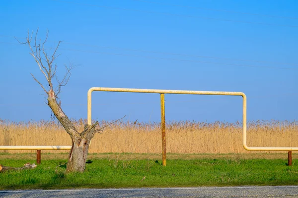 Boog Van Gaspijpleiding Boven Passage Het Veld — Stockfoto