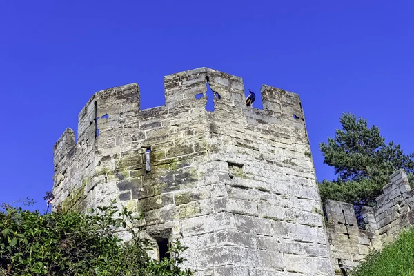 Castillo Warwick Torre Del Oso Con Guarda Pavo Real Warwick —  Fotos de Stock