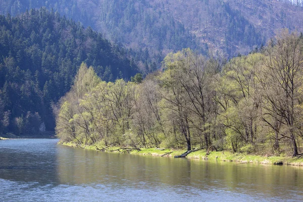 Dunajec Rzeka Gorge Brzeg Rzeki Wiosna Szczawnica Polska — Zdjęcie stockowe