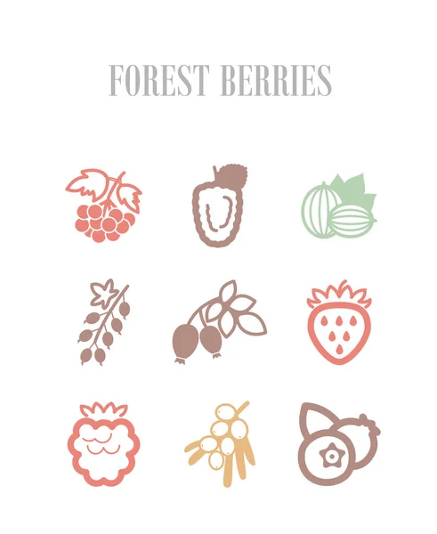 Forest berries icons set. Vector illustration for food apps and websites