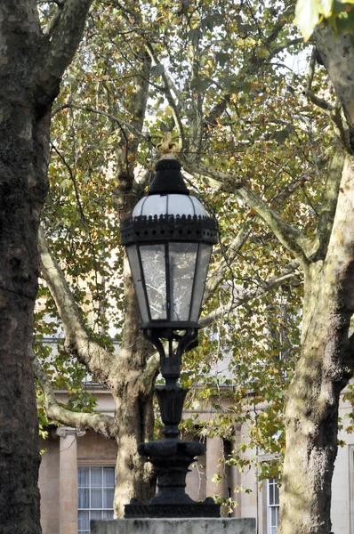 Street Light Londynie Jesienią — Zdjęcie stockowe