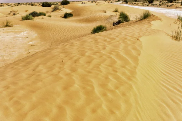 チュニジアのサハラ砂漠の真ん中を通る道の眺め — ストック写真