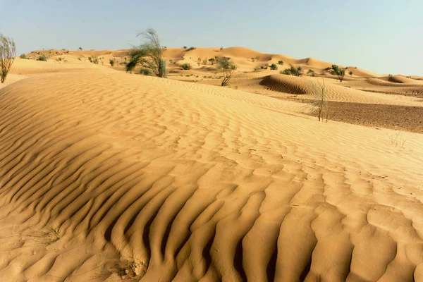 Rimpels Van Woestijnduinen Sahara Woestijn Tunesië — Stockfoto