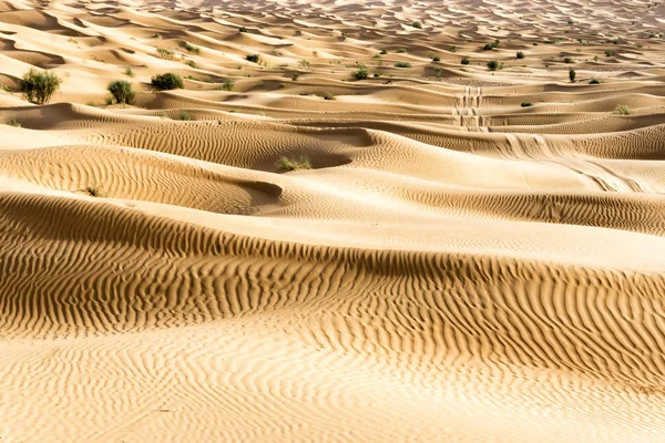 Vista Del Desierto Del Sahara Túnez — Foto de Stock