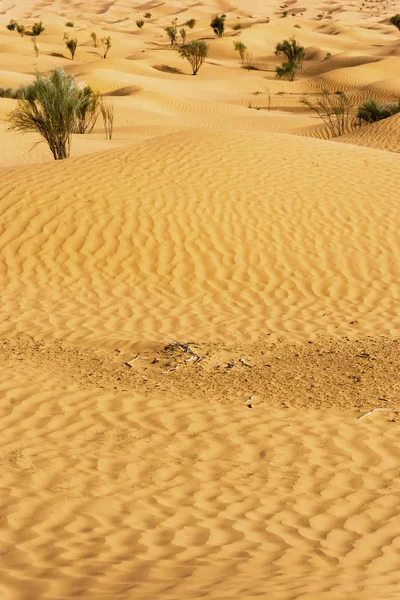 Zvlněné Písečné Duny Sahara Pouště Tunisku — Stock fotografie