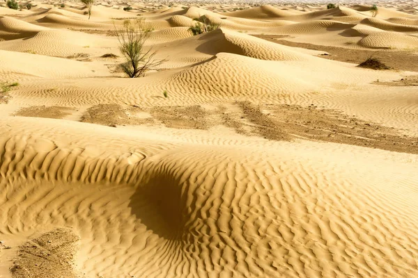 サハラ砂漠の砂丘のある風景 チュニジア — ストック写真