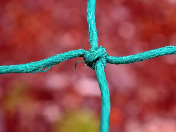 Een Groen Touw Een Touw Met Een Middelste Gat Vastgebonden — Stockfoto