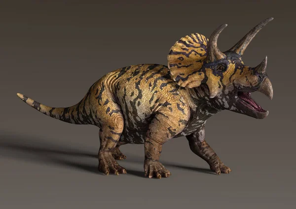 Rendering Dinosauro Triceratops Sfondo Scuro — Foto Stock