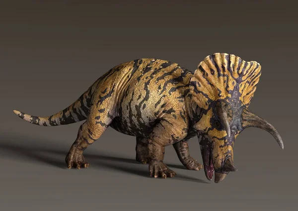 Rendering Van Een Dinosaurus Triceratops Een Donkere Achtergrond — Stockfoto
