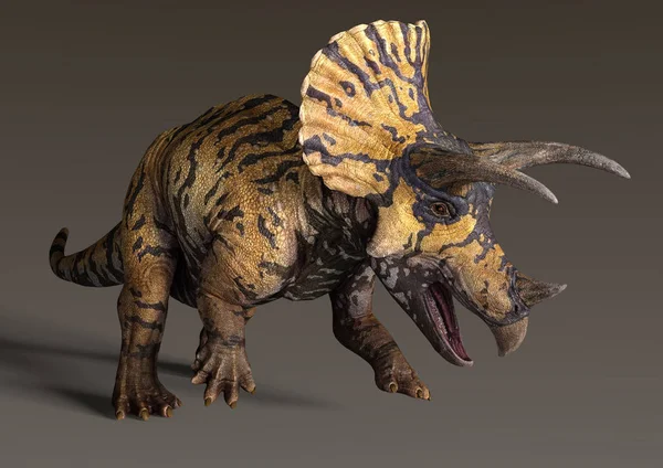 Rendering Dinosauro Triceratops Sfondo Scuro — Foto Stock