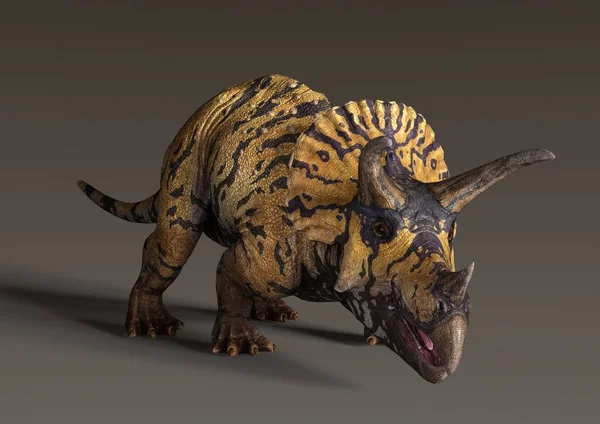 Rendering Dinosauro Triceratops Sfondo Scuro — Foto Stock