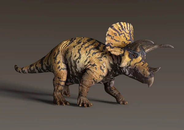 Rendering Dinosauro Triceratops Sfondo Scuro — Foto Stock