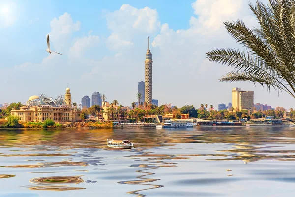 Vista Torre Cairo Isla Gezira Nilo Egipto — Foto de Stock