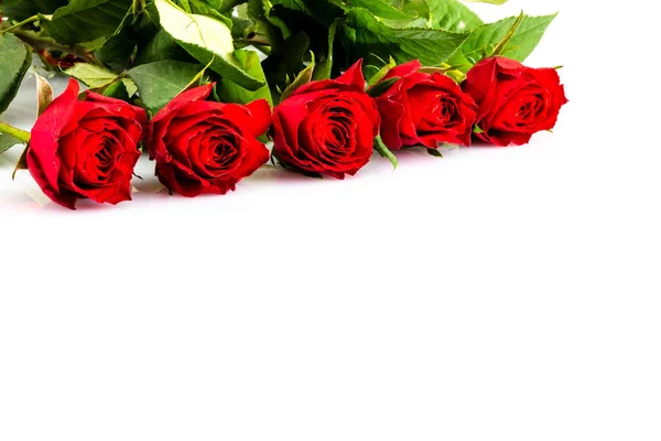 Rosas Vermelhas Por Amor — Fotografia de Stock