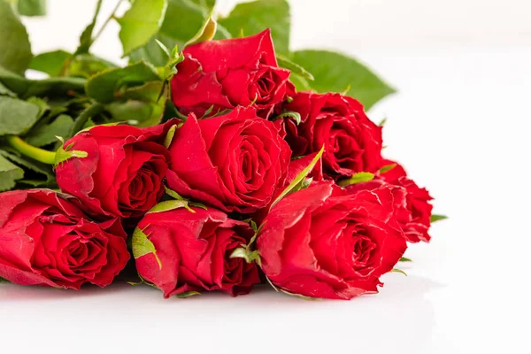 Czerwone Róże Miłości — Zdjęcie stockowe