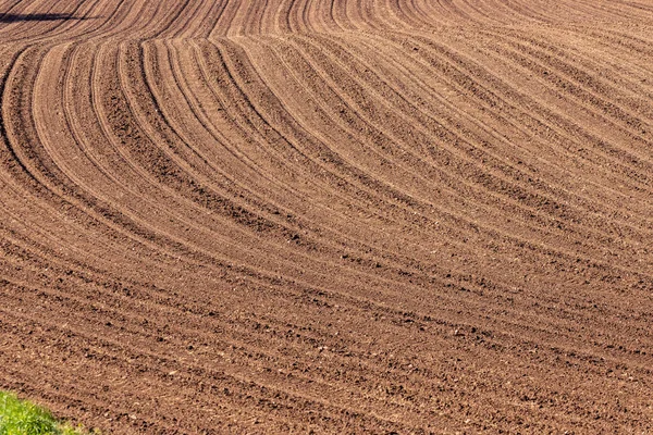 Ladang Biji Bijian Dan Menabur Musim Semi — Stok Foto