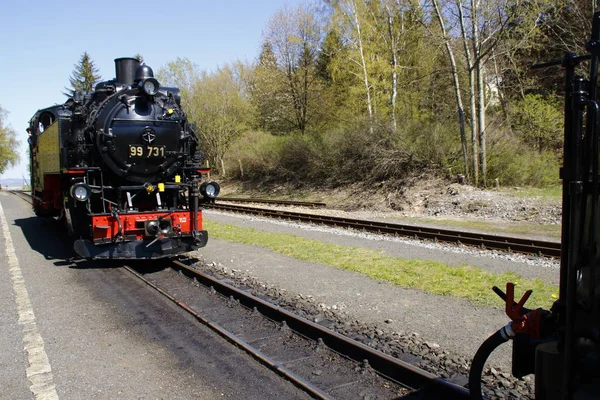 Locomotora Vapor Del Tren Vía Estrecha Zittau Estación Jonsdorf —  Fotos de Stock