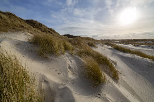 Hardy Helm Grass Ongerepte Witte Zandduinen Verlicht Door Een Wazige — Stockfoto