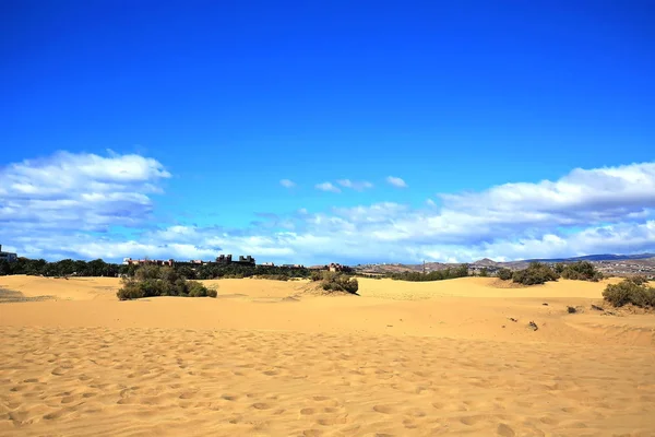 Maspalomas Dunas Areia Gran Canaria — Fotografia de Stock