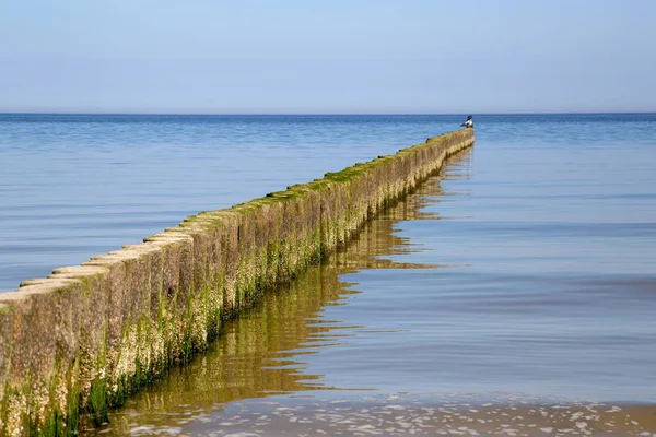 Groynes Nel Mar Baltico Con Piccole Onde Nella Località Balneare — Foto Stock