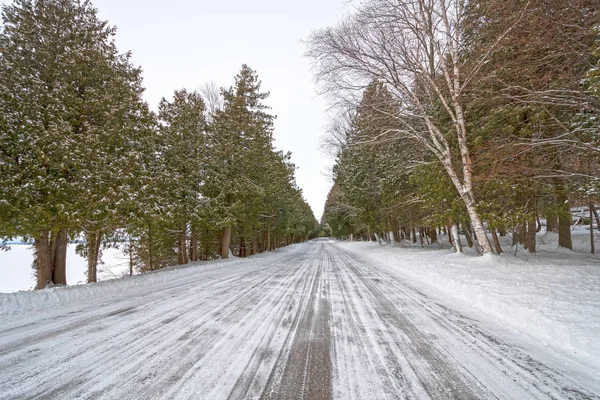 Lakeshore Road Invierno Parque Estatal Península Wisconsin —  Fotos de Stock