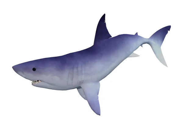 白地に隔離されたサメの3Dレンダリング — ストック写真