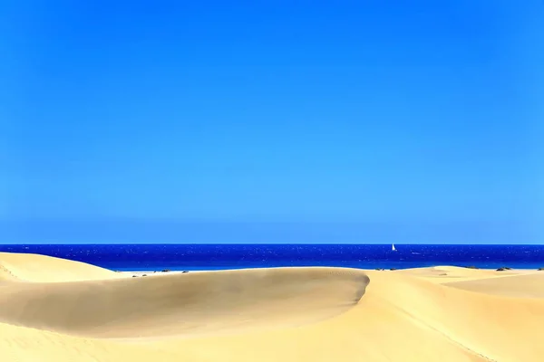 Vue Panoramique Des Dunes Mise Point Sélective — Photo