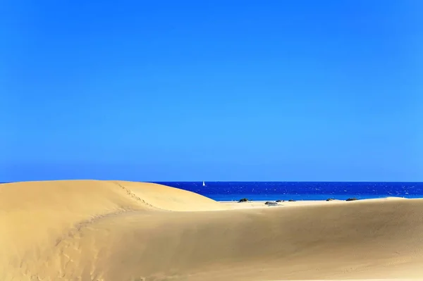 Panoramisch Uitzicht Duinen Selectieve Focus — Stockfoto