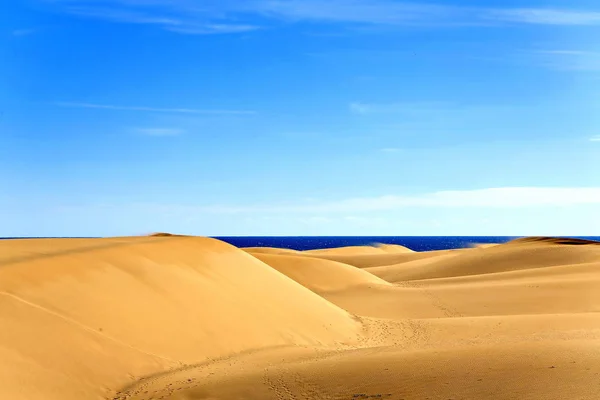 Vista Panoramica Delle Dune Focus Selettivo — Foto Stock