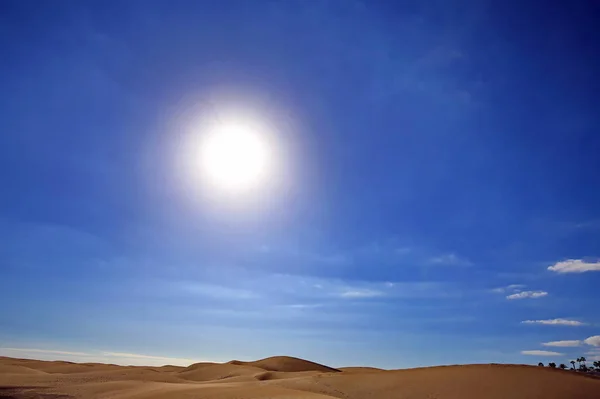 Scenic View Dunes Selective Focus — Stock Photo, Image