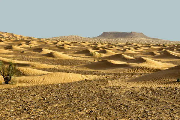 Κυματισμοί Των Αμμόλοφων Της Ερήμου Και Του Βουνού Στη Σαχάρα — Φωτογραφία Αρχείου