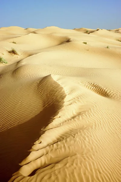 在撒哈拉沙漠与沙丘的风景 突尼斯 — 图库照片