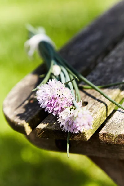 Ένα Μάτσο Μοβ Λουλούδια Κρεμμυδιού Στην Άκρη Ενός Παλιού Ξύλινου — Φωτογραφία Αρχείου