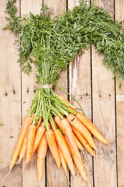 Une Grappe Jeunes Carottes Ferme Fraîches Lavées Fraîches Dont Les — Photo